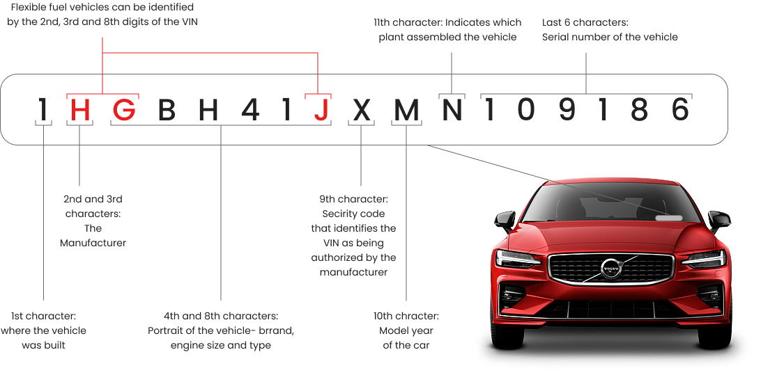vin-lookup-free-vin-decoder