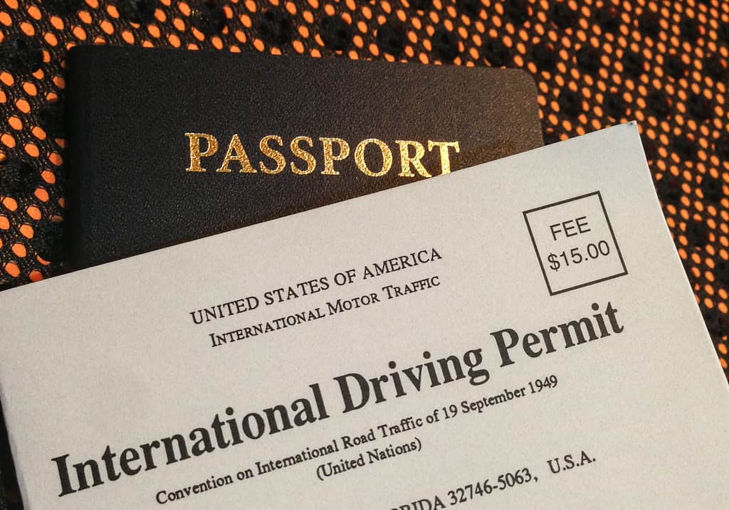 international driver's license